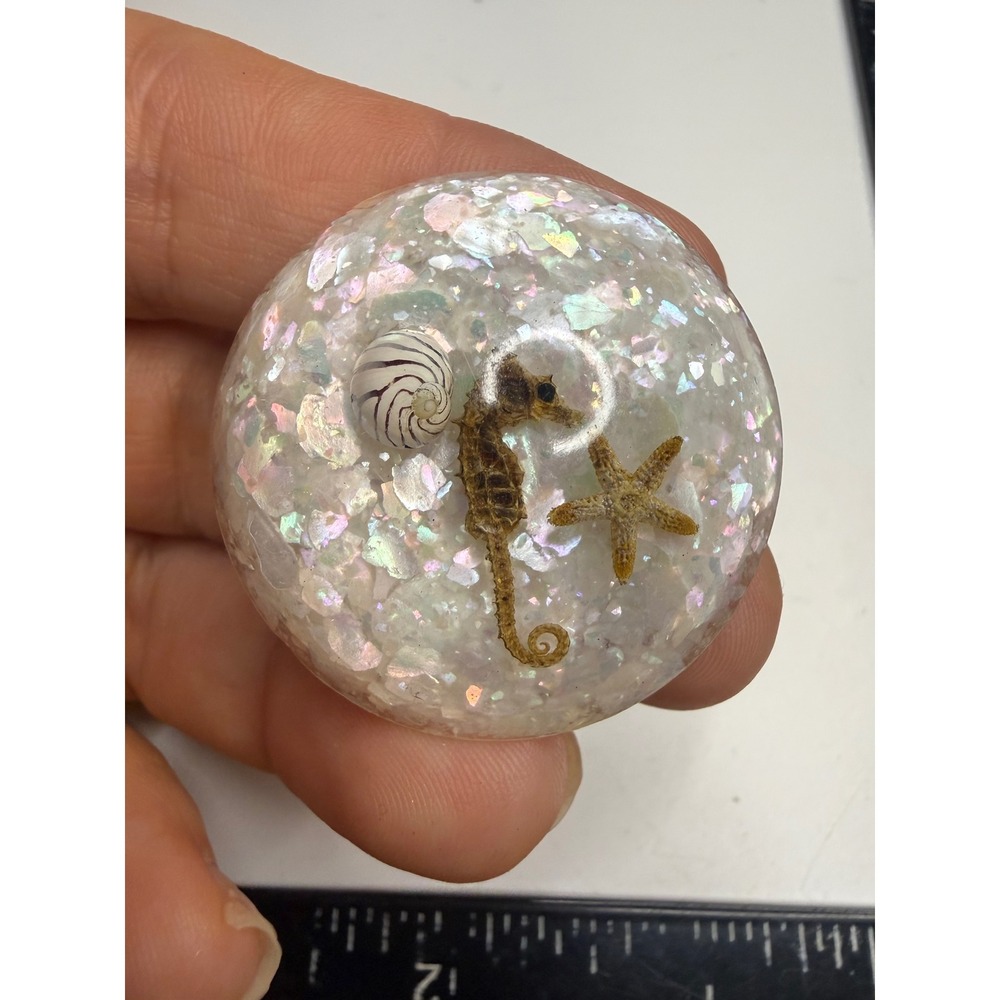 Handmade Resin Seahorse Starfish Seashell Brooch Iridescent Nautical Pin 1.5"